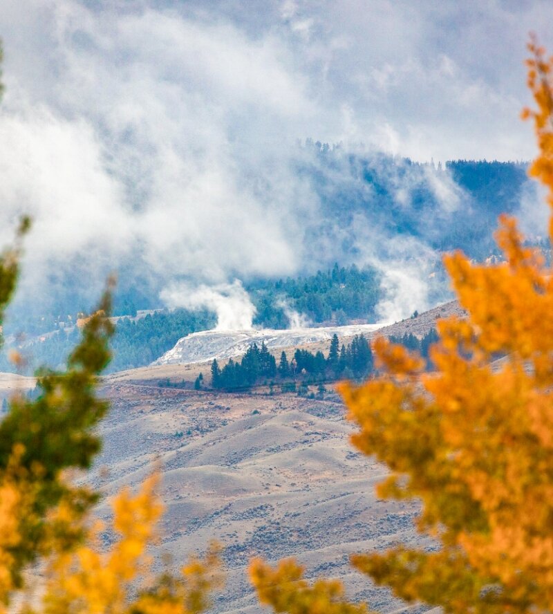 Yellowstone Fall Colors: Autumn in the National Park
