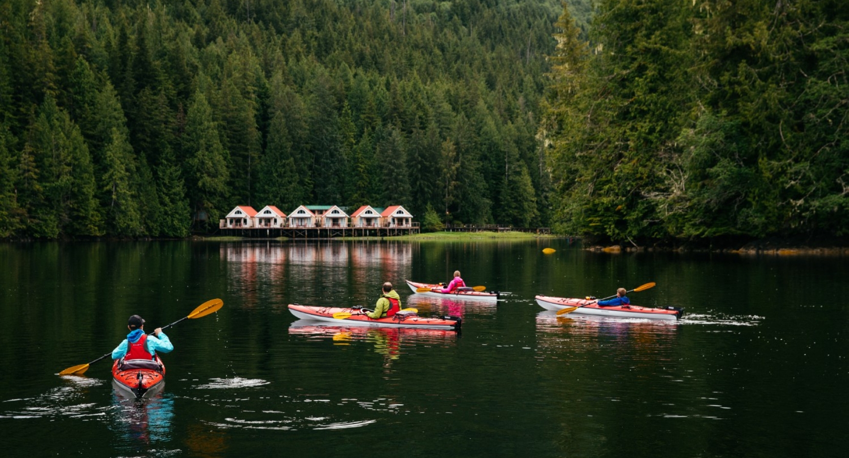 Canada Coastal Rainforest2