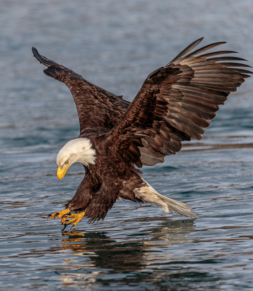 Soaring to New Heights5-1