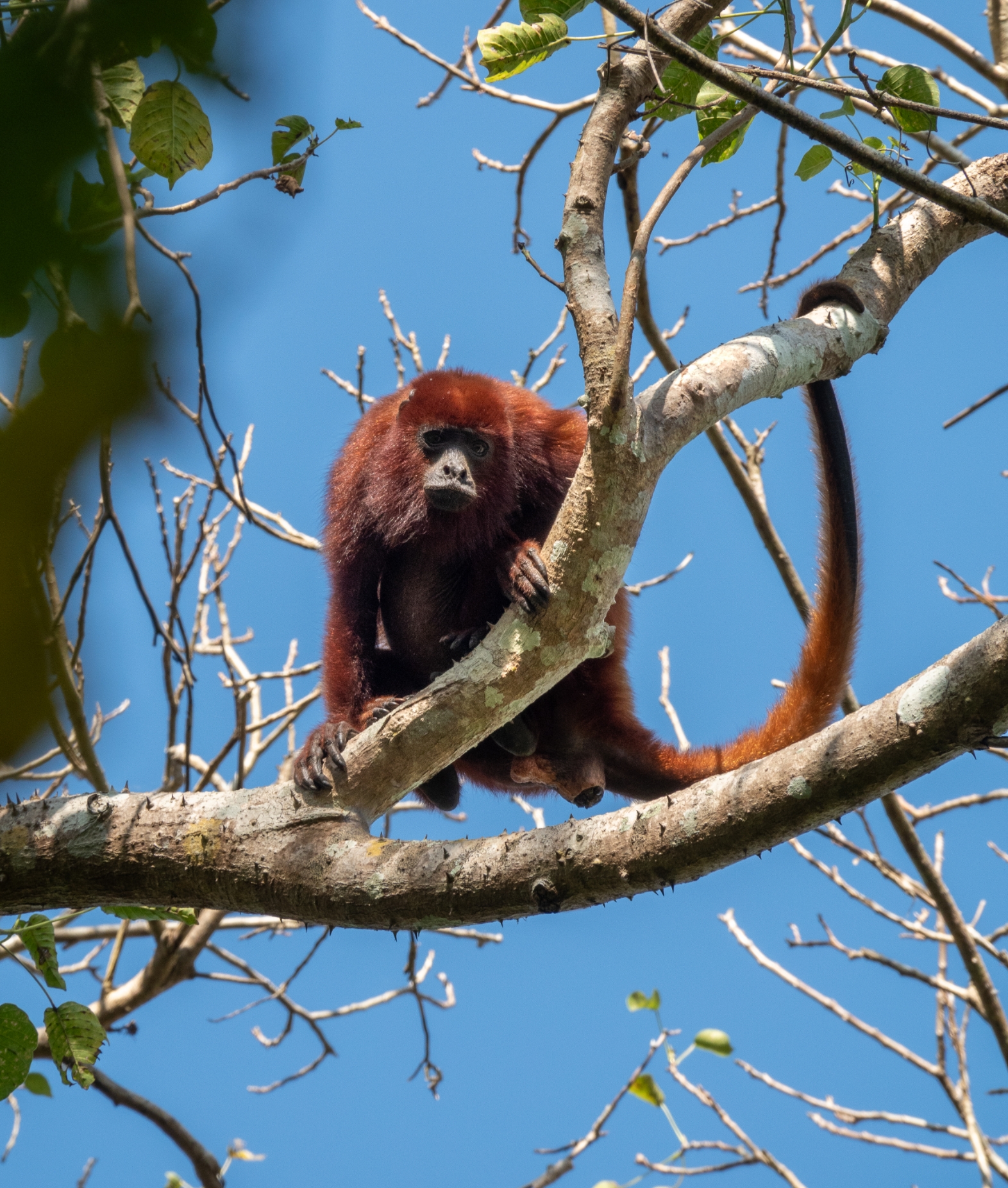 Coasts and Cultures of Colombia5