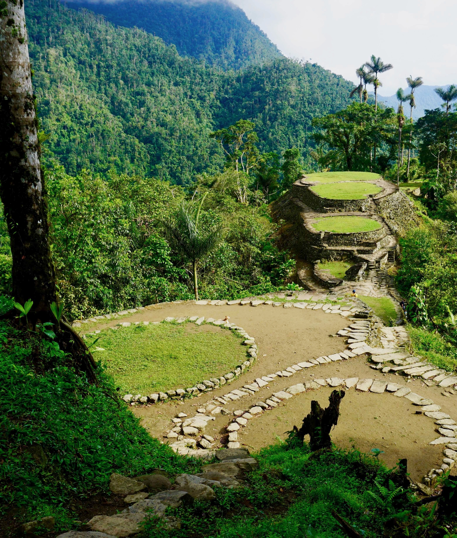 Coasts and Cultures of Colombia6