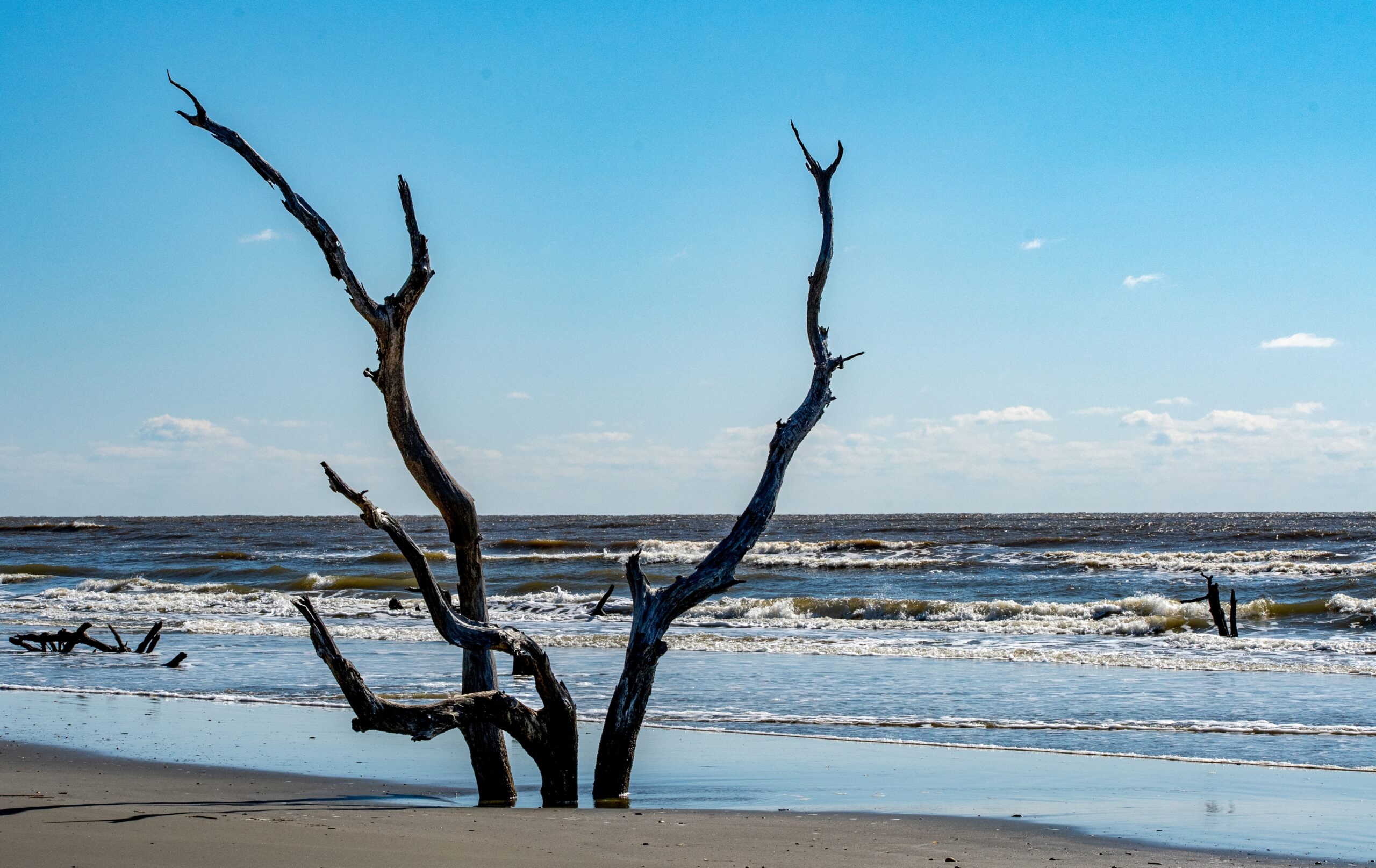 Pirates-Colonial-Coast12