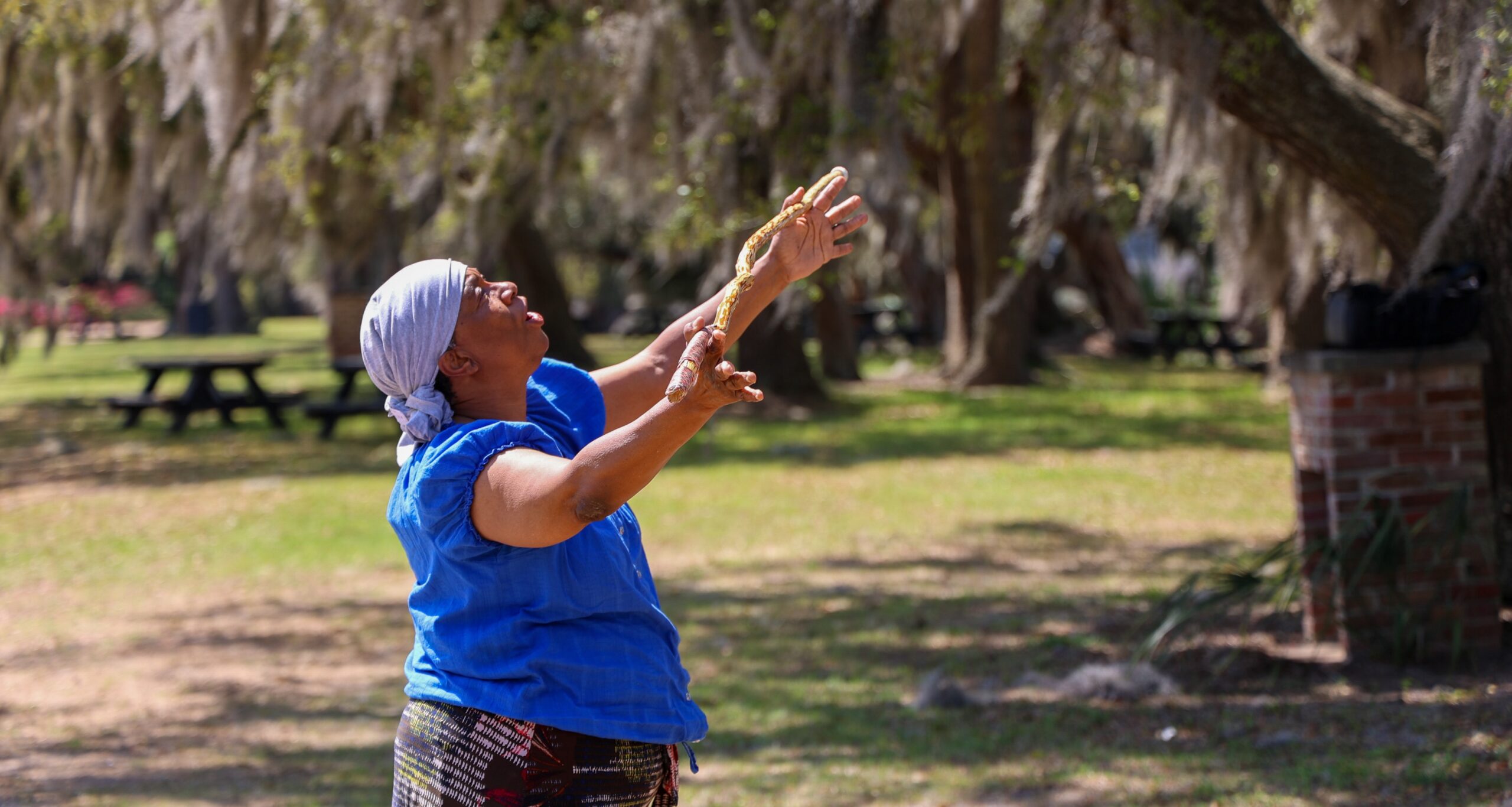 Pirates-Colonial-Coast9