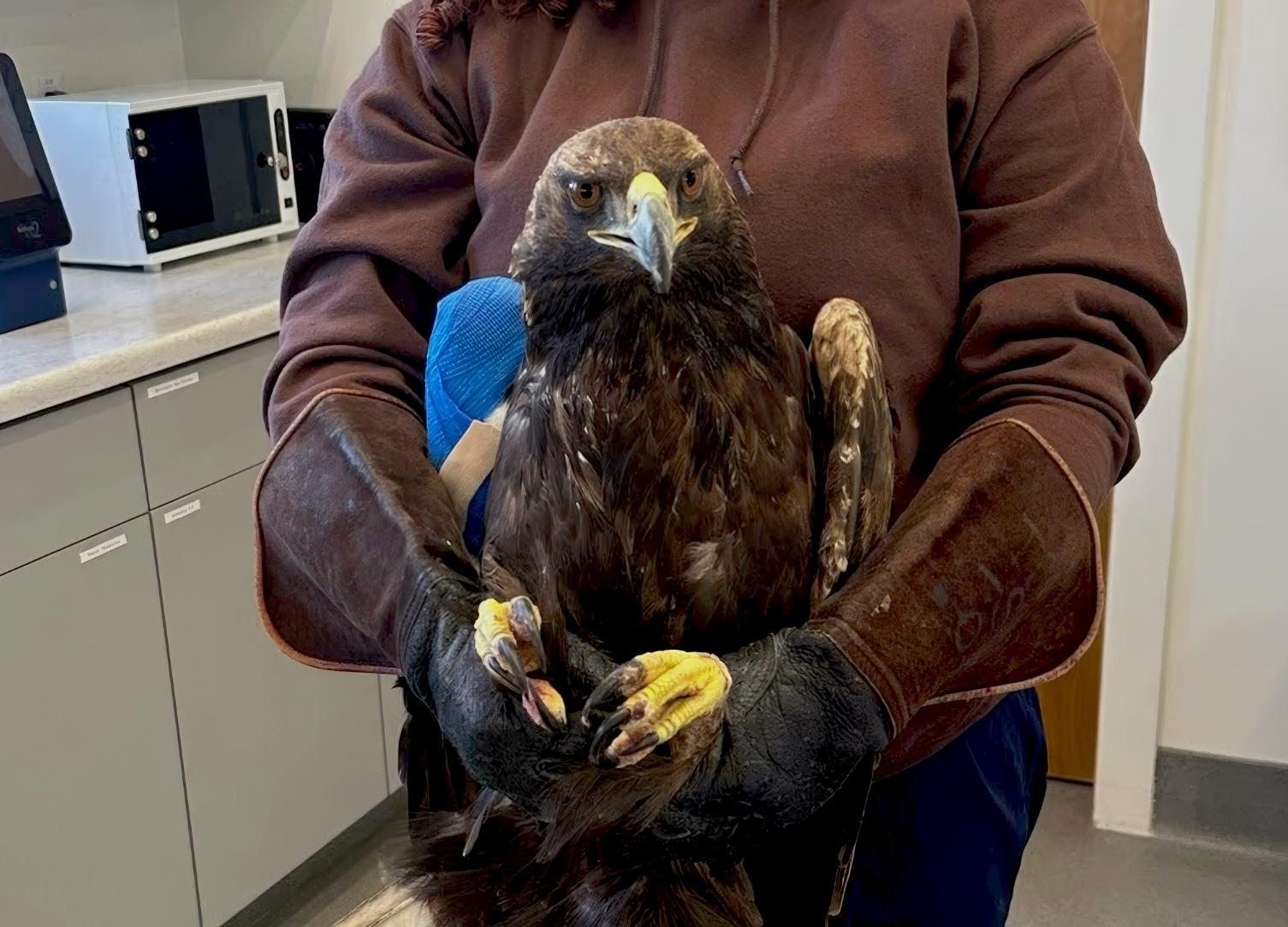 Journeys That Matter-1