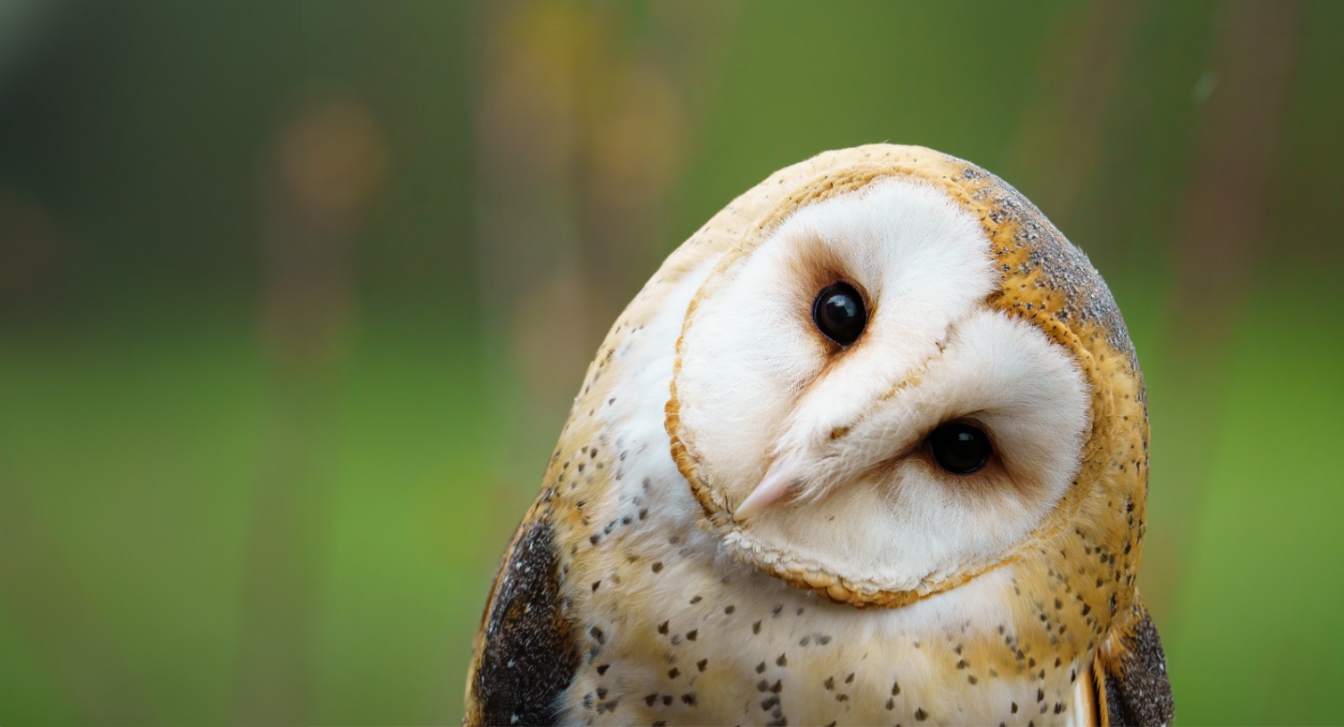 Journeys That Matter-3