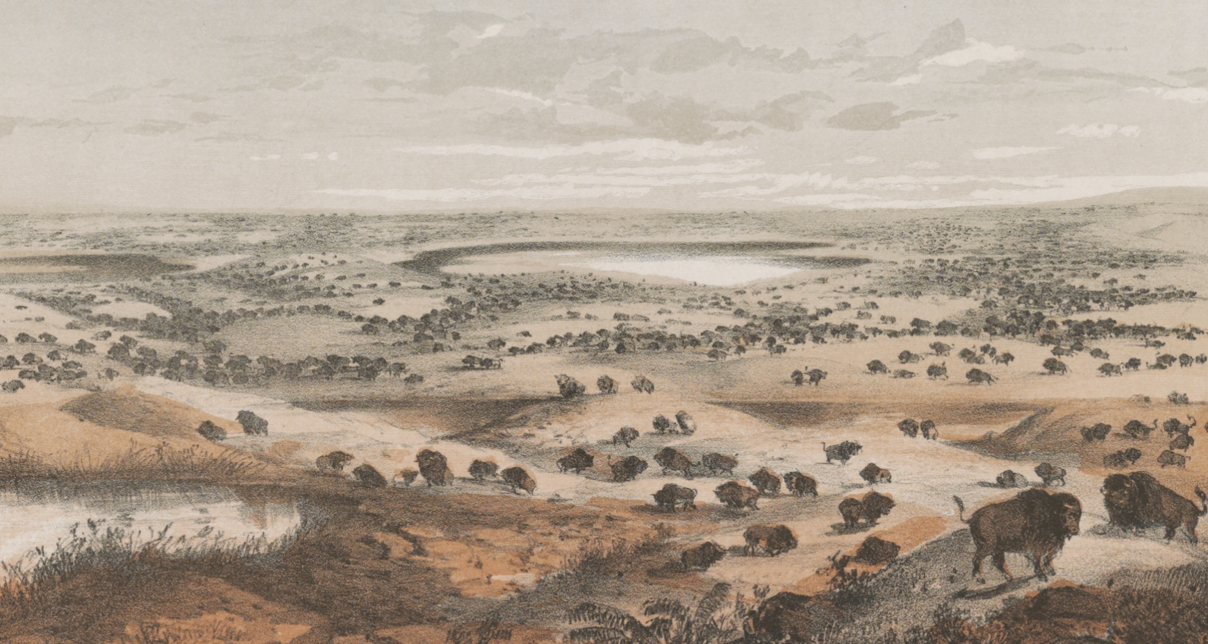 From Plains to Preservation3