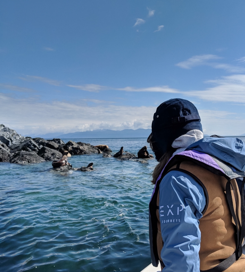 Wildlife of Alaska10