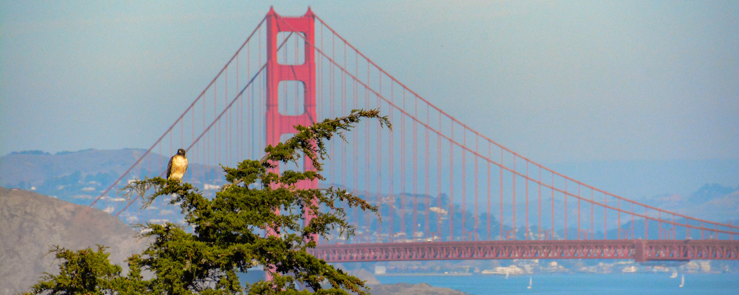 california-san-francisco-luxury-travel