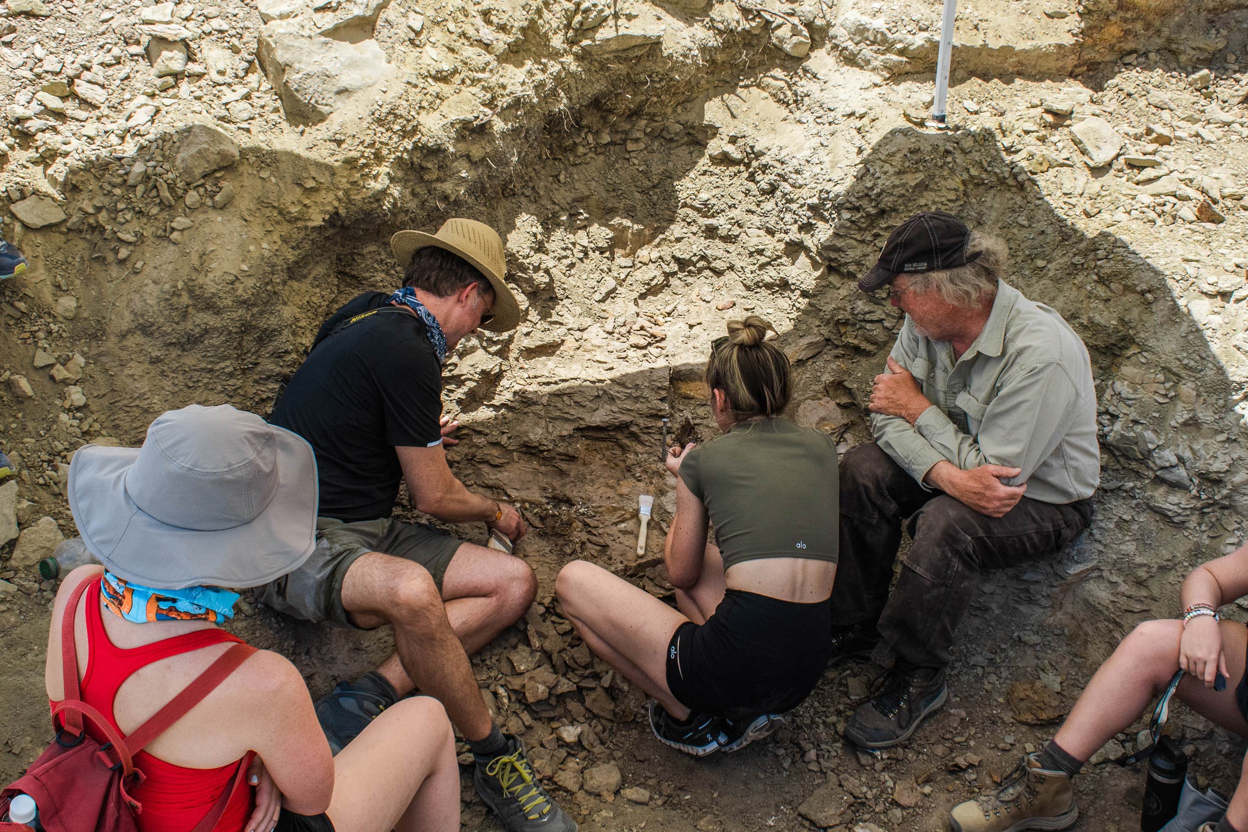 A family digs for dinosaur fossils.