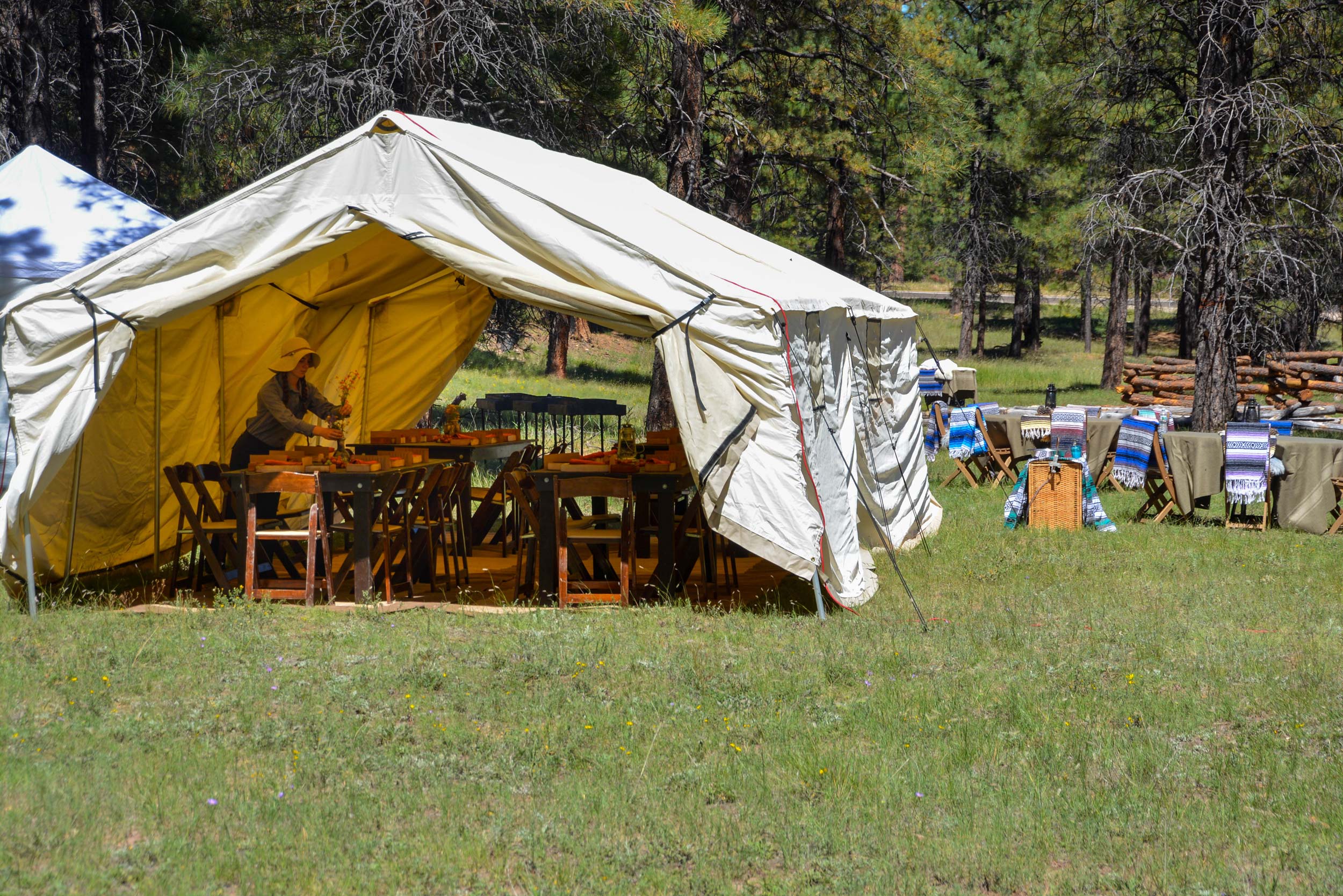 A private lunch is set up inside of a canvas tent for guests in the middle of a wooded area.