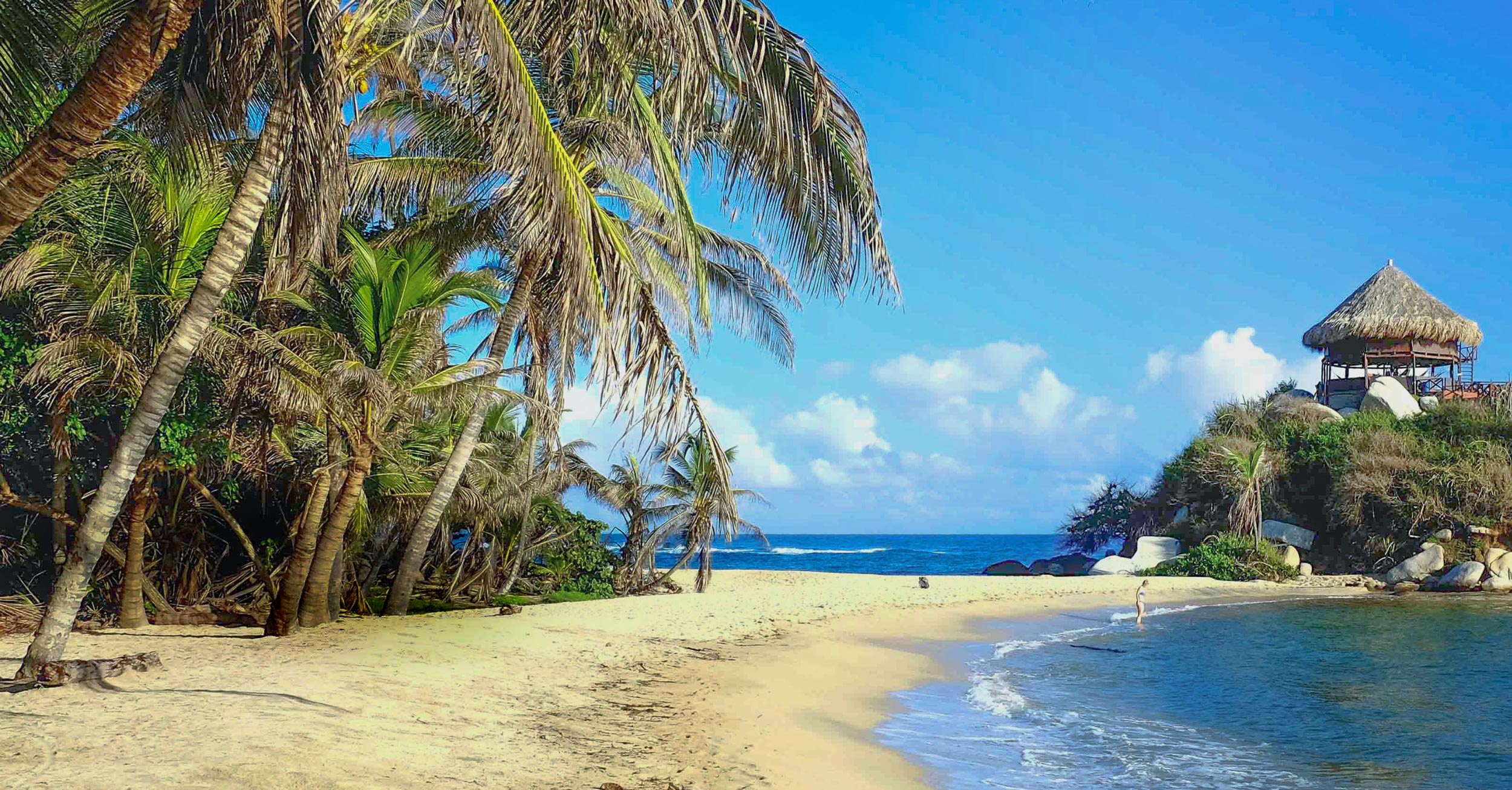 Sunny, secluded tropical beach with palm trees, white sand, turquoise water, and a thatched hut.