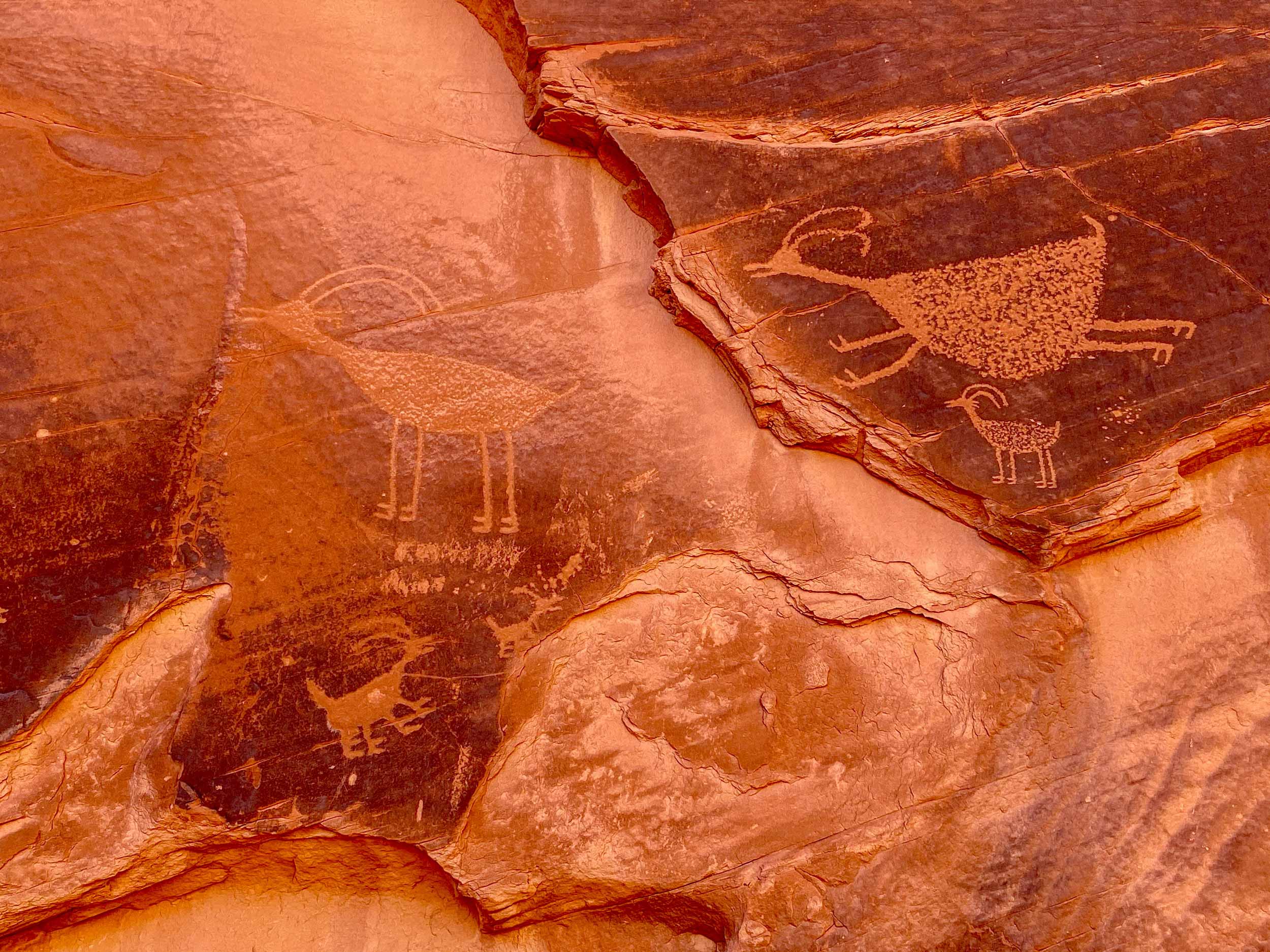 Ancient Navajo drawings on a red rock.