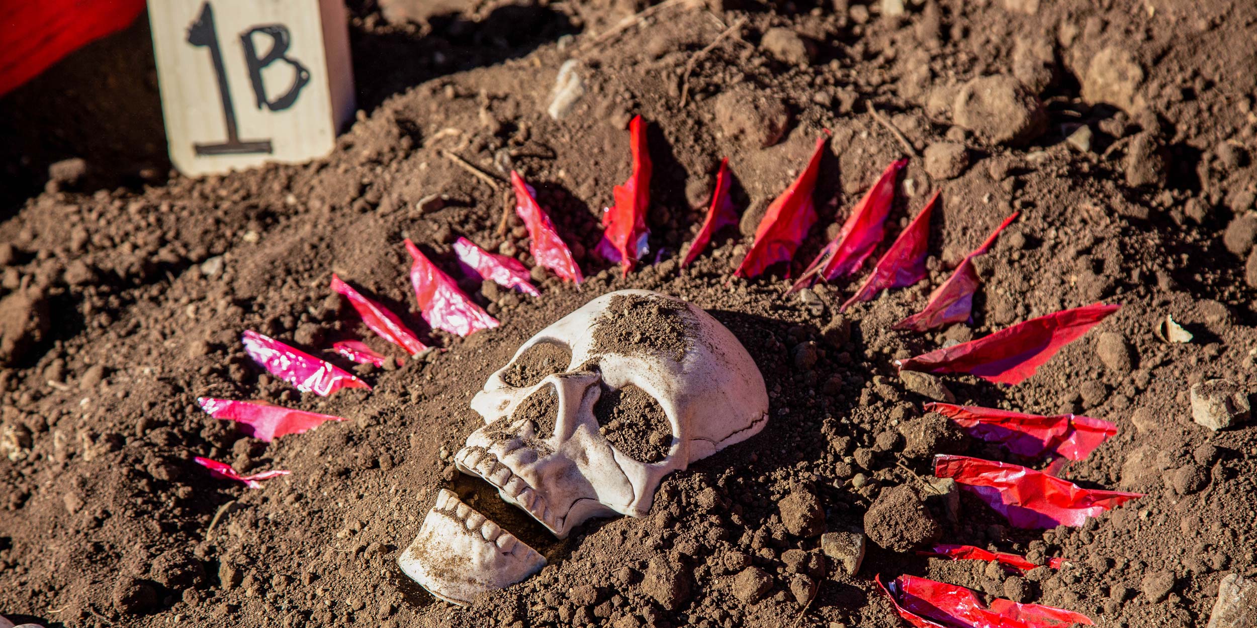 - EXP Journeys A skull is uncovered at an archeological site during an immersive journey in Costa Rica.