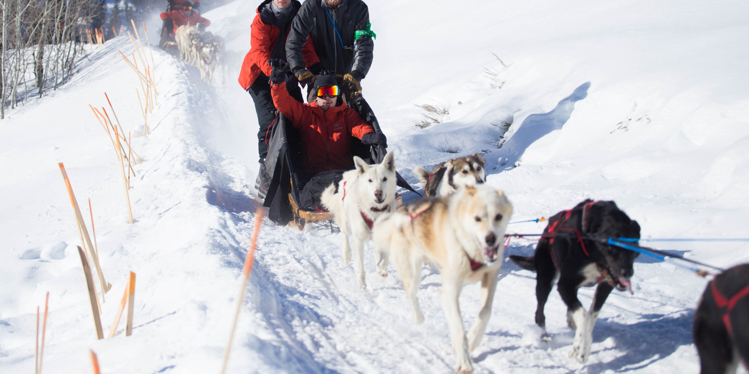 Teammates dogsled through snow in Jackson, Wyoming during a challenge.