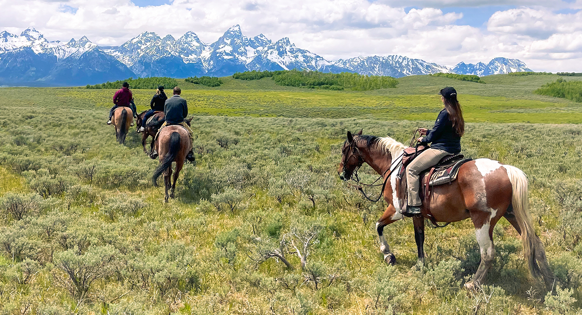 western-wilderness-horseback-riding-tetons-jackson-wyoming
