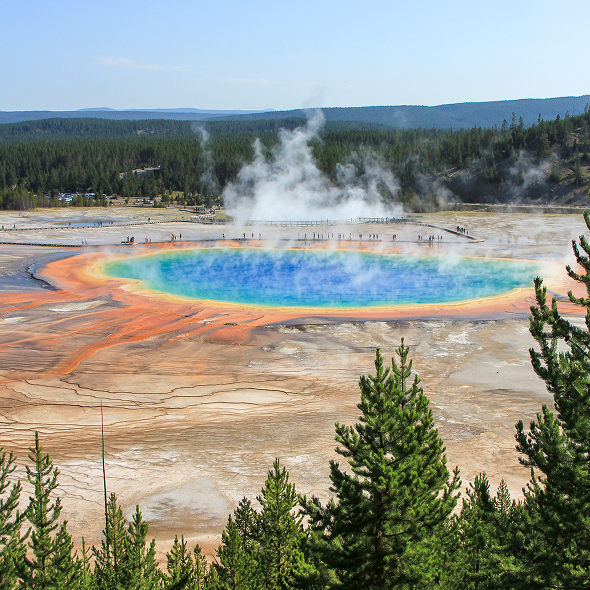 western-wilderness-yellowstone-grand-prismatic