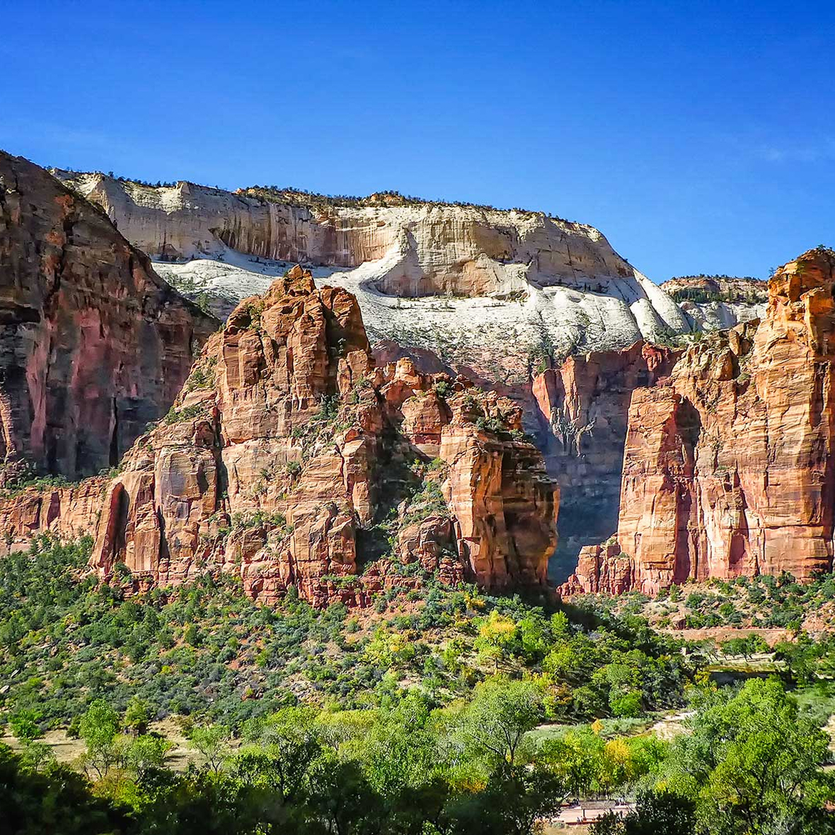 zion-national-park
