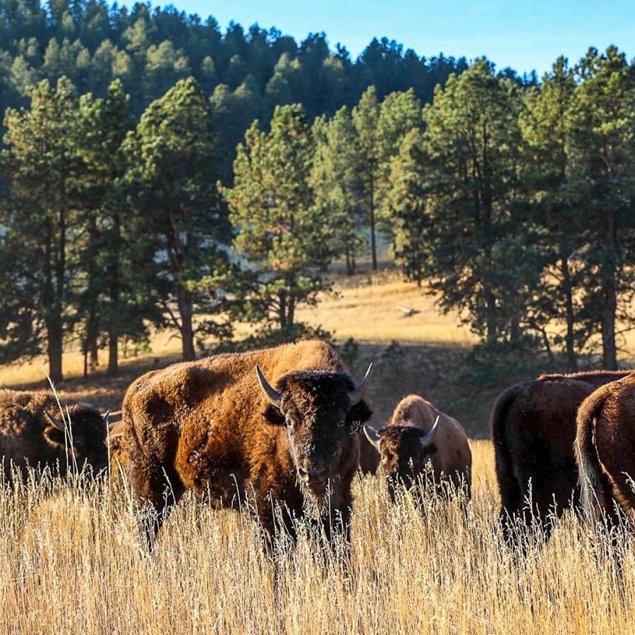 A Trusted Responsible Partner in Travel