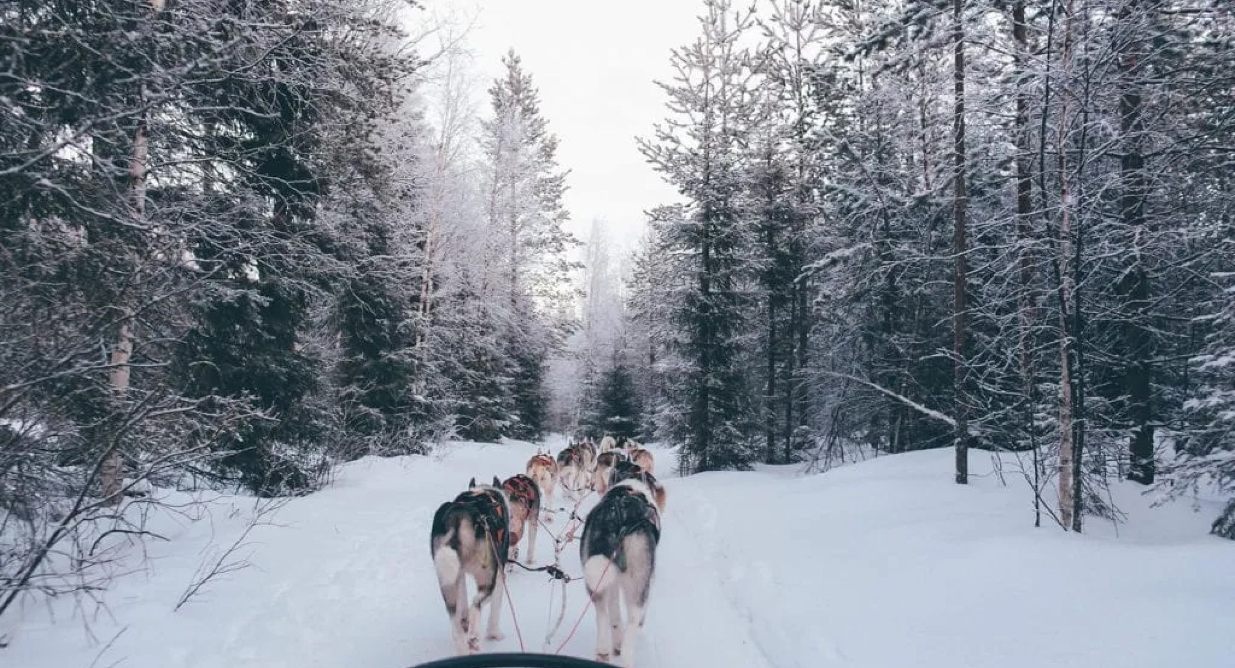 Snow-covered San Juan Mountains and Telluride winter landscape with blue sky