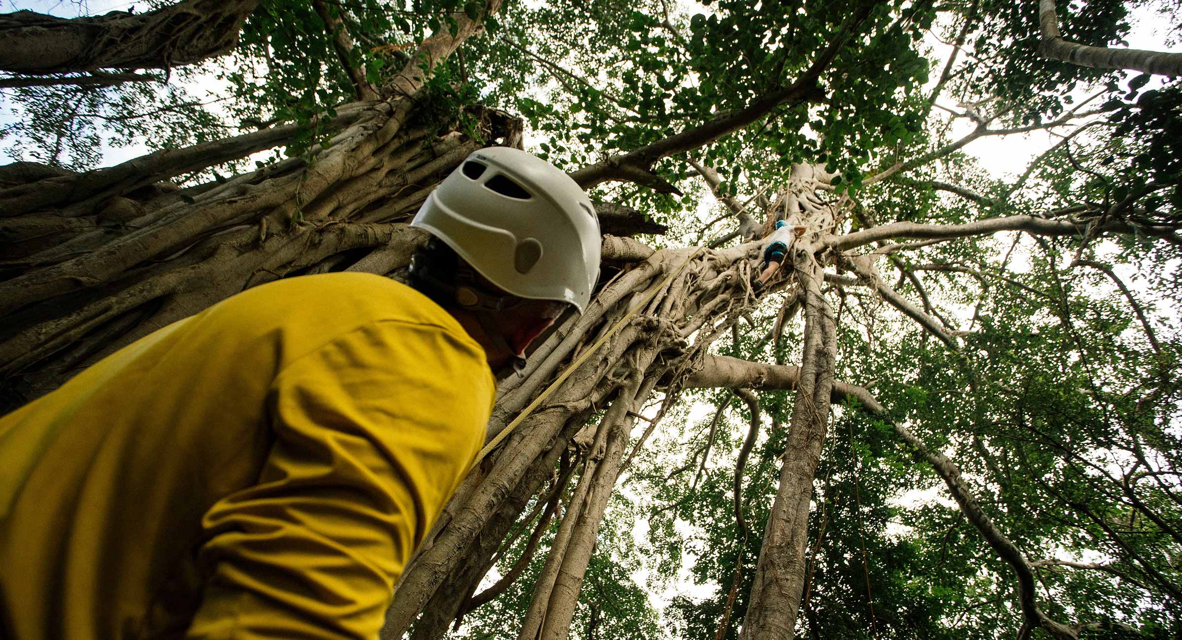 costa-rica-climbing An EXP Guided adventure showing travelers climbing the massive roots of a giant tropical tree during a family journey.