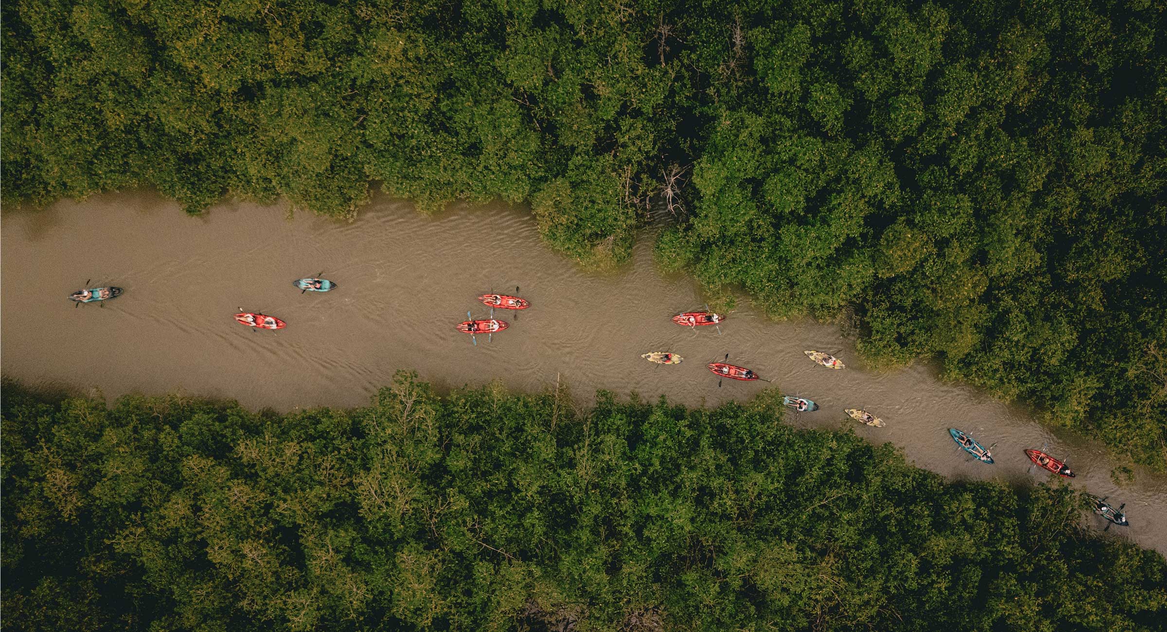 costa-rica-kayak-drone A group of colorful kayaks navigating a winding jungle river through the mangroves during a family journey.