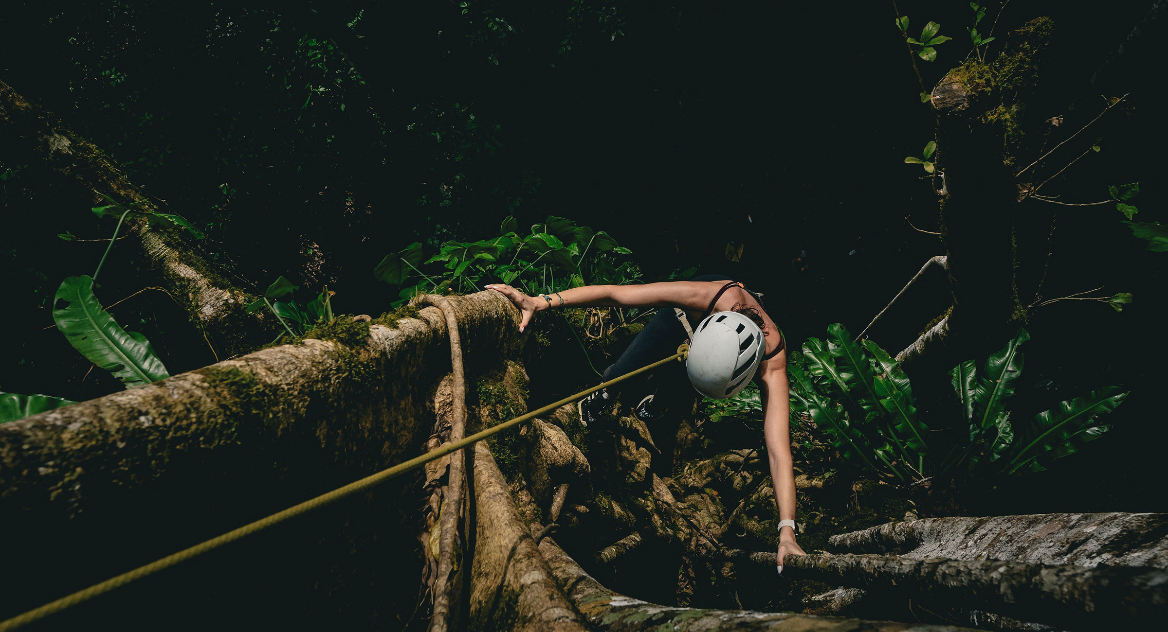 costa-rica-treetops A climber carefully navigating high-altitude tree branches in the rainforest canopy.