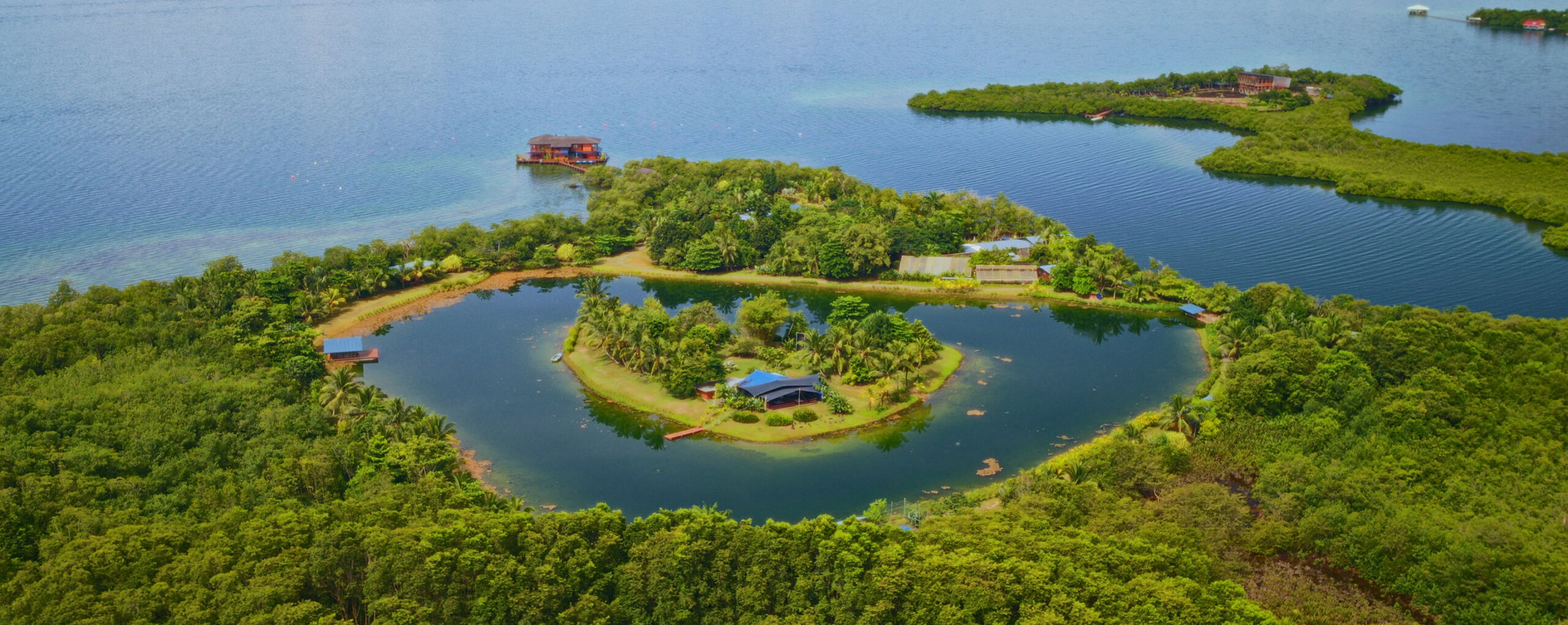 Sweet-Bocas-Panama-Family-Surf-Trip - EXP Journeys - EXP Journeys Aerial view of a circular island pond surrounded by trees, with palm trees, small buildings, and a blue-roof shelter at center.