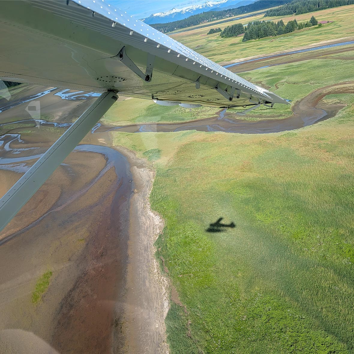 Alaska-Denali-flight - EXP Journeys - EXP Journeys Wing of a small aircraft seen from inside, over a winding river and green fields.