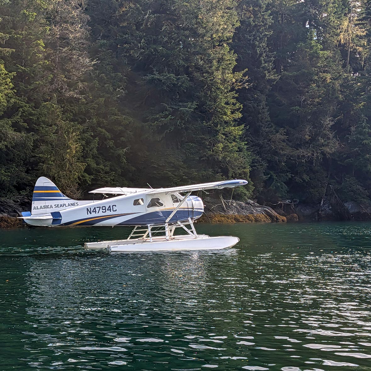 Alaska-Denali-seaplane - EXP Journeys - EXP Journeys Seaplane docked near a forested shoreline on calm water, painted white with blue and gold accents and the tail number N4794C.