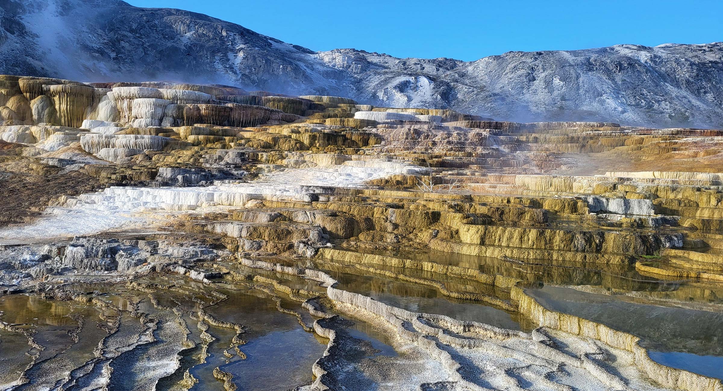 mammoth-hot-springs-yellowstone - EXP Journeys - EXP Journeys Travertine terraces in white, beige, and gold with shallow pools, mountain backdrop, and blue sky.