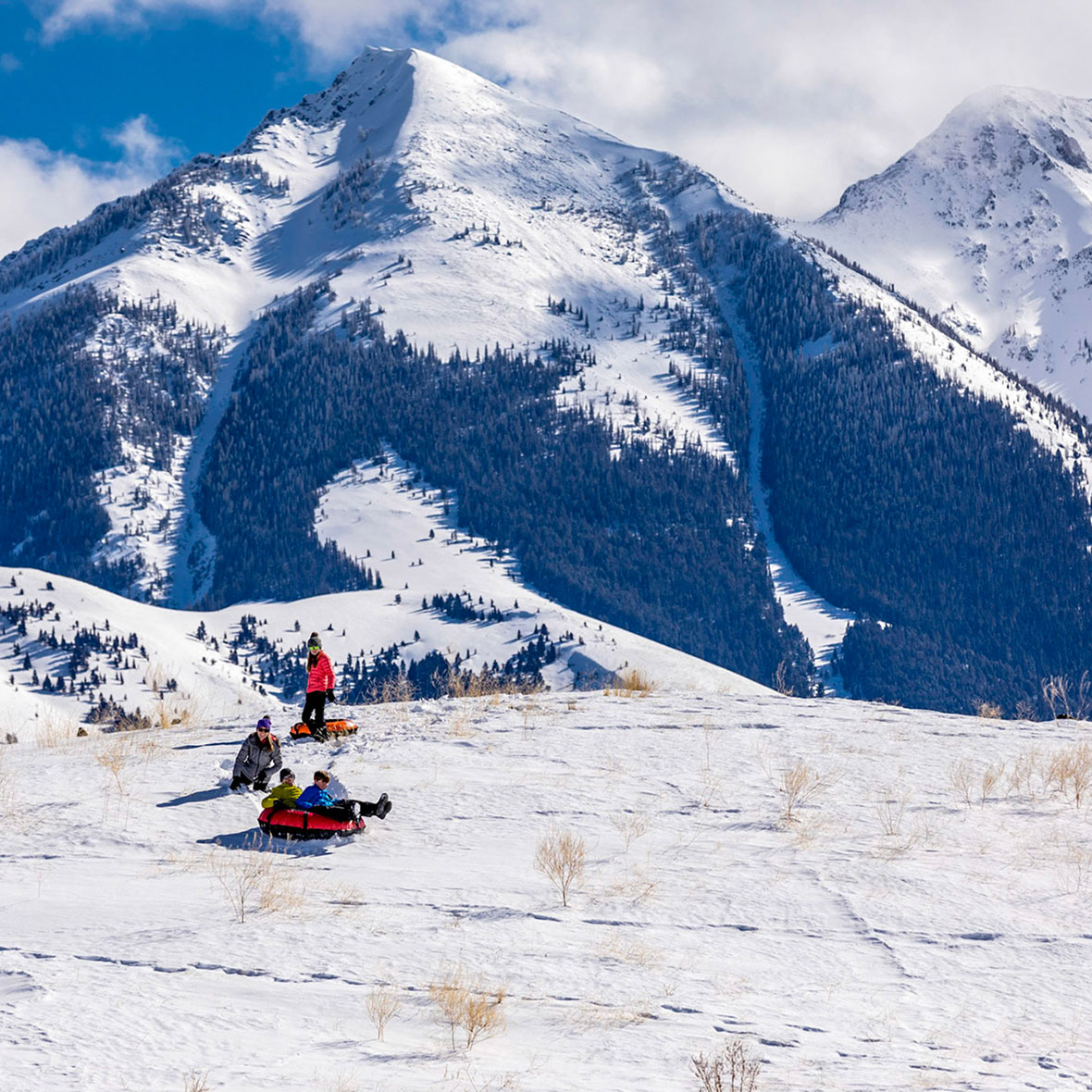 montana-tubing - EXP Journeys - EXP Journeys Group of people in bright jackets sledding down a snowy slope with snow-covered mountains in the background.